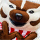 Bucky showing Wisconsin W hands with DoIT guide icons
