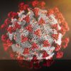 Illustration by the Centers for Disease Control and Prevention (CDC). Red spikes that cover the outer surface of the gray ball-shaped virus.