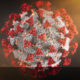 Illustration by the Centers for Disease Control and Prevention (CDC). Red spikes that cover the outer surface of the gray ball-shaped virus.