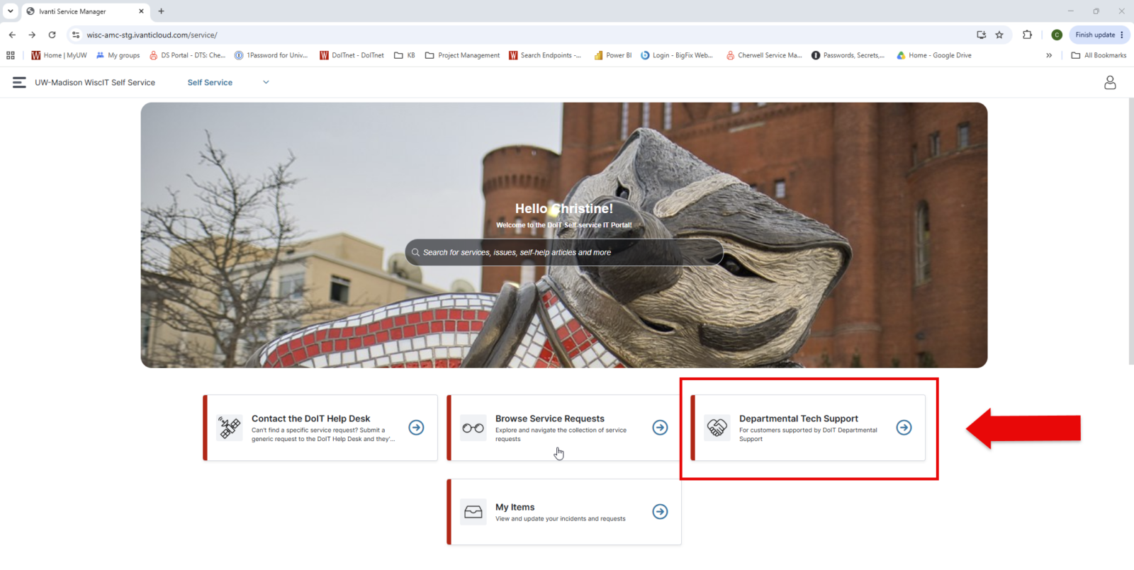 On the main DoIT support website, click the Departmental Tech Support button to go to the portal.