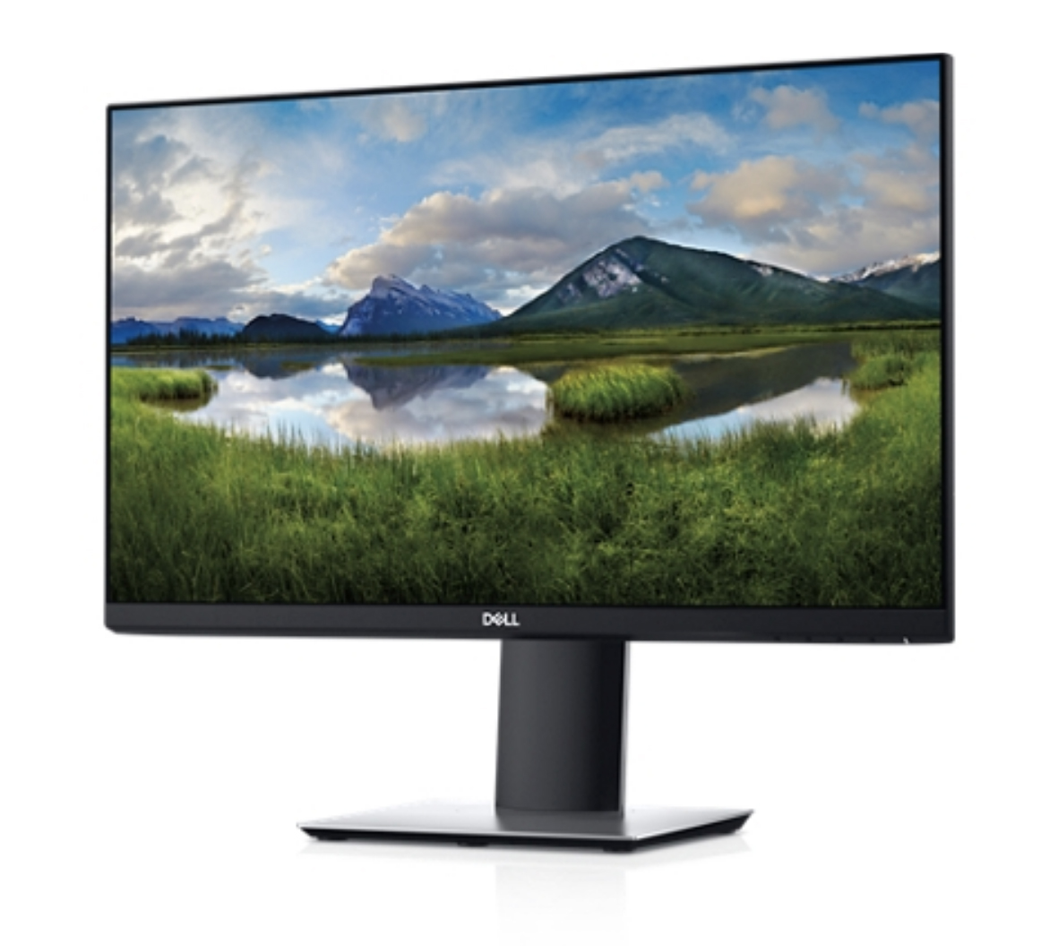 Dell P2319H