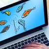 Laptop with multiple fish around a fishing pole on screen.