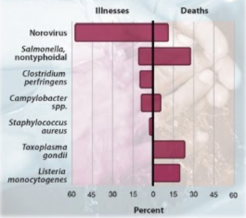 Bar graph showing pathogens that contribute to foodborne illness. Alternative text descriptions provided in the table.