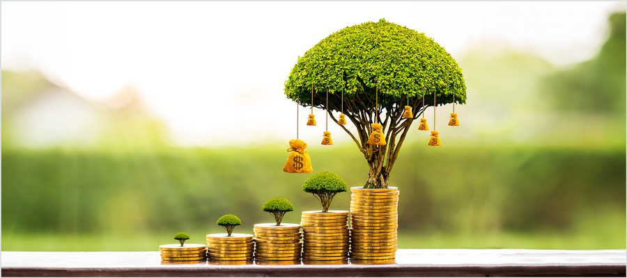 A small tree growing into a large tree when nurtured with coins.