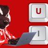 Bucky Badger with a laptop and UW IT