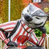 Statue of Bucky Badger at Alumni Park