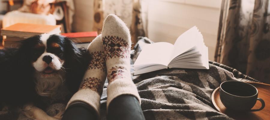 A person relaxing with their dog and reading a book